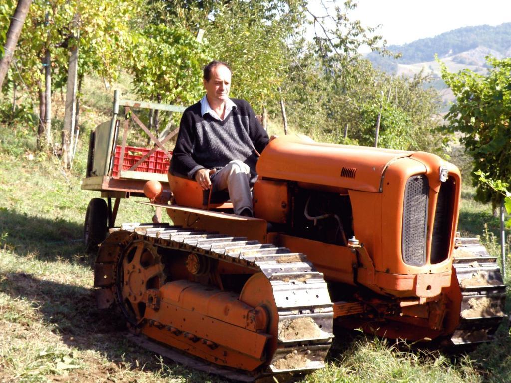Agriturismo Ca' Isotta Castello di Serravalle Εξωτερικό φωτογραφία