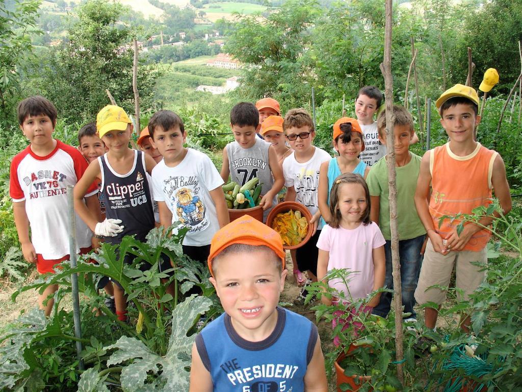 Agriturismo Ca' Isotta Castello di Serravalle Εξωτερικό φωτογραφία