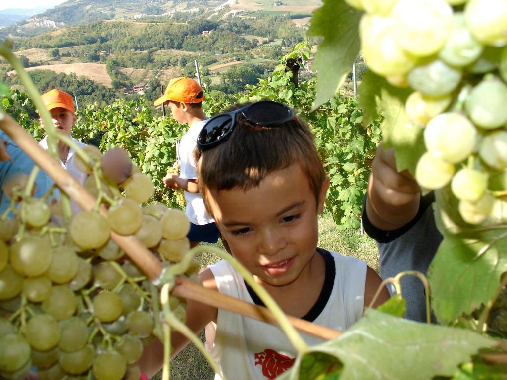 Agriturismo Ca' Isotta Castello di Serravalle Εξωτερικό φωτογραφία